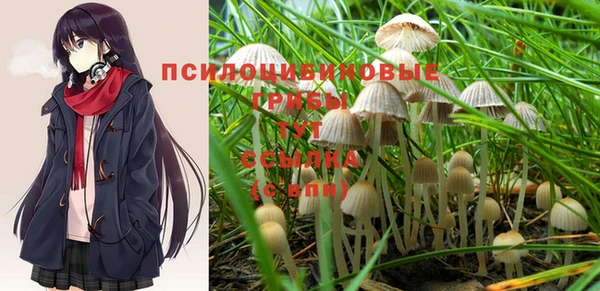 jwh Козельск
