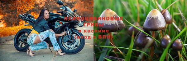 jwh Козельск